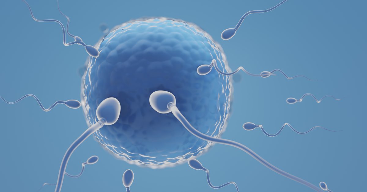 Reproductive Genetics Course 2.0