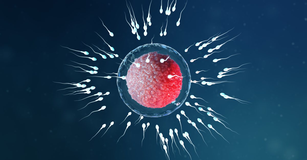 Reproductive Immunogenetics