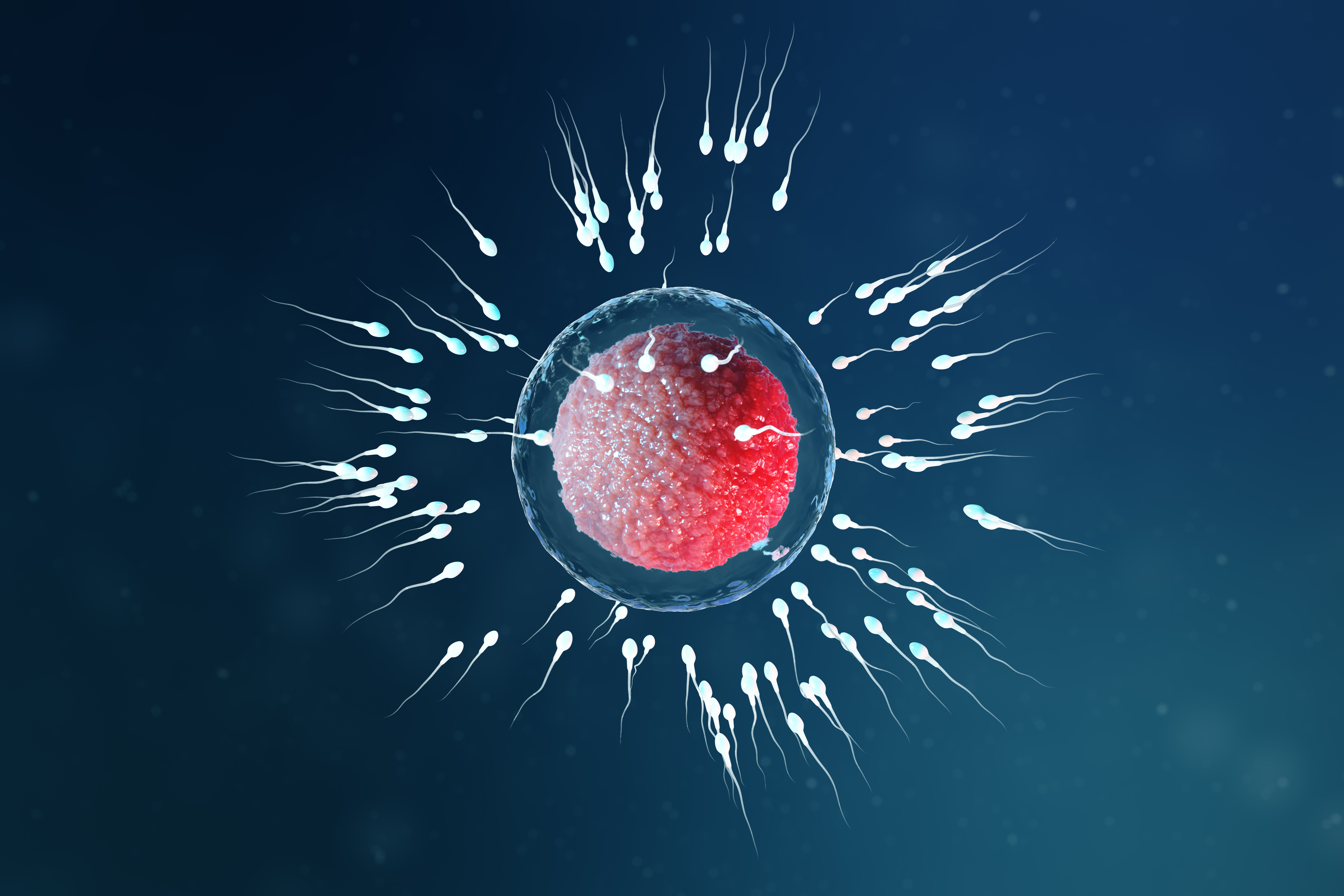 Reproductive Immunogenetics