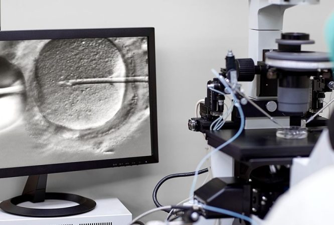 Clinical Andrology & Embryology Course