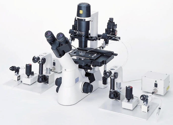 Intracytoplasmic Sperm Injection (ICSI) COURSE