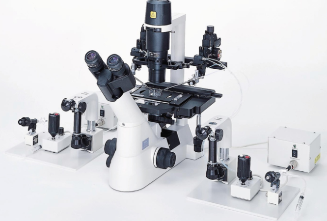 Intracytoplasmic Sperm Injection (ICSI) COURSE