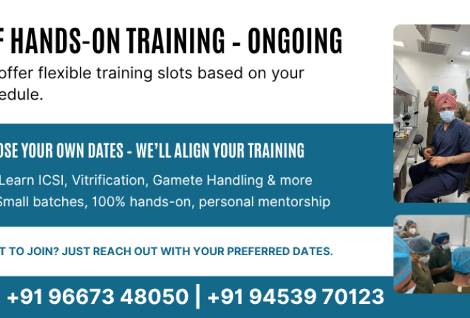 IVF Hands-On Training – Ongoing BANNER